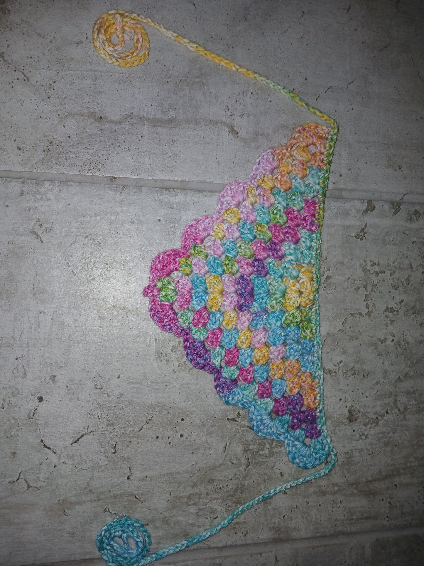 Brights Bandana