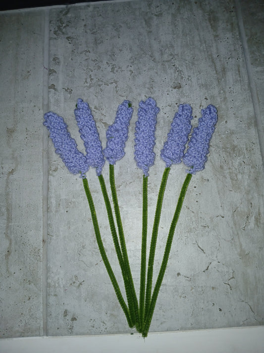 Lavender Flowers